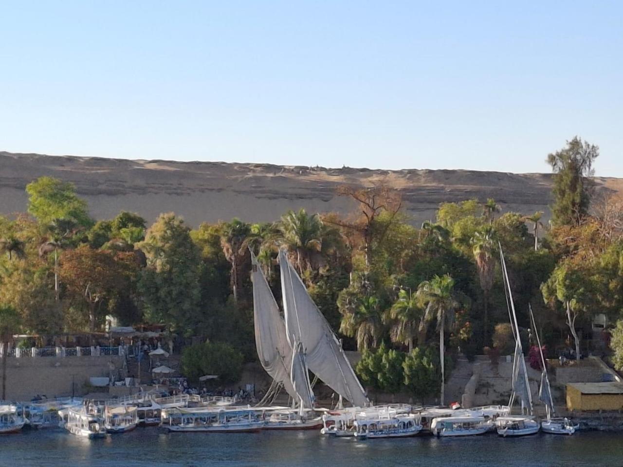 El Prince Guesthouse Ασουάν Εξωτερικό φωτογραφία